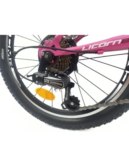 Rower Górski Dziecięcy 20 Dziewczęcy Dzwonek Sakwa Błotniki Stopka Światła - 15