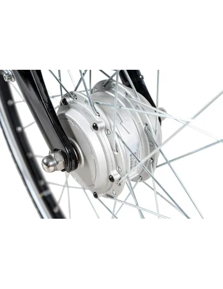 Elektryczny Rower Trekkingowy 28 Alu Męski Nexus 7 Bagażnik Wspomaganie