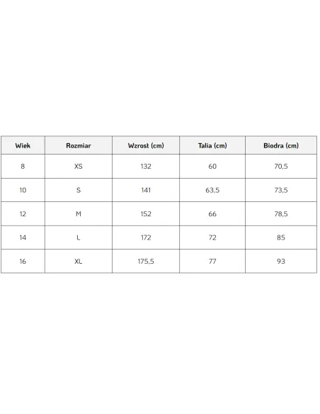 Szorty Męskie Kąpielowe Quiksilver Everyday Rozmiar S/10 Sporty Wodne