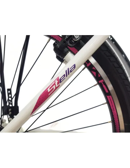 Rower Miejski 26 Dziewczęcy Uniwersalny Dzwonek Bagażnik Oświetlenie Stopka