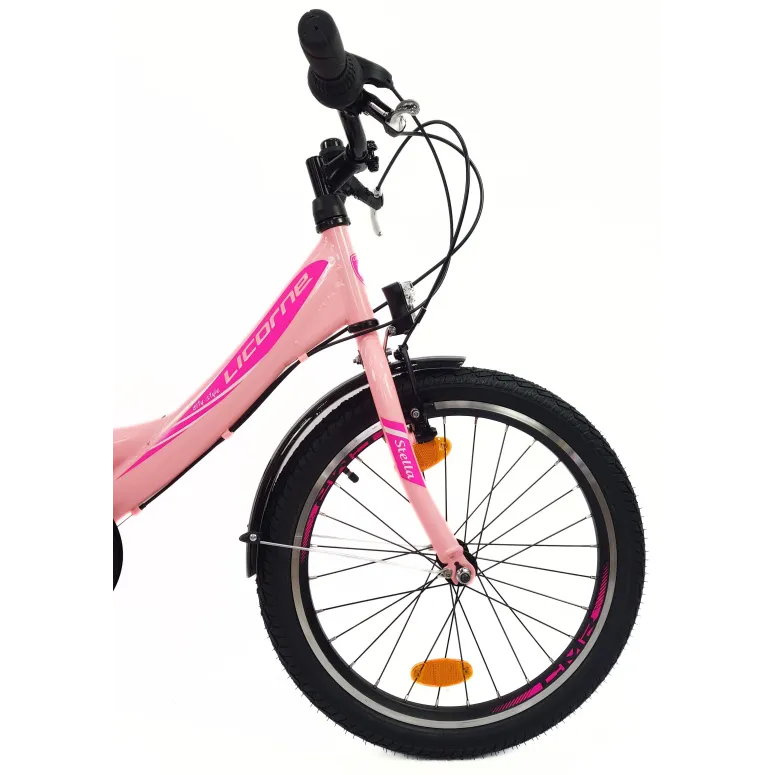 Rower Dziewczęcy 20 Miejski Stalowy Dziecięcy Światła Błotniki Stopka Bagaż