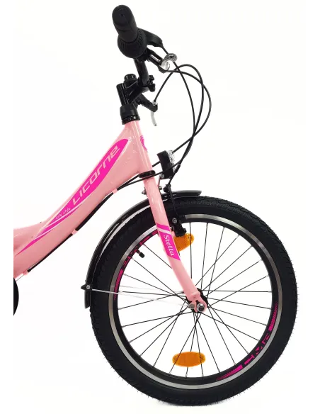 Rower Dziewczęcy 20 Miejski Stalowy Dziecięcy Światła Błotniki Stopka Bagaż