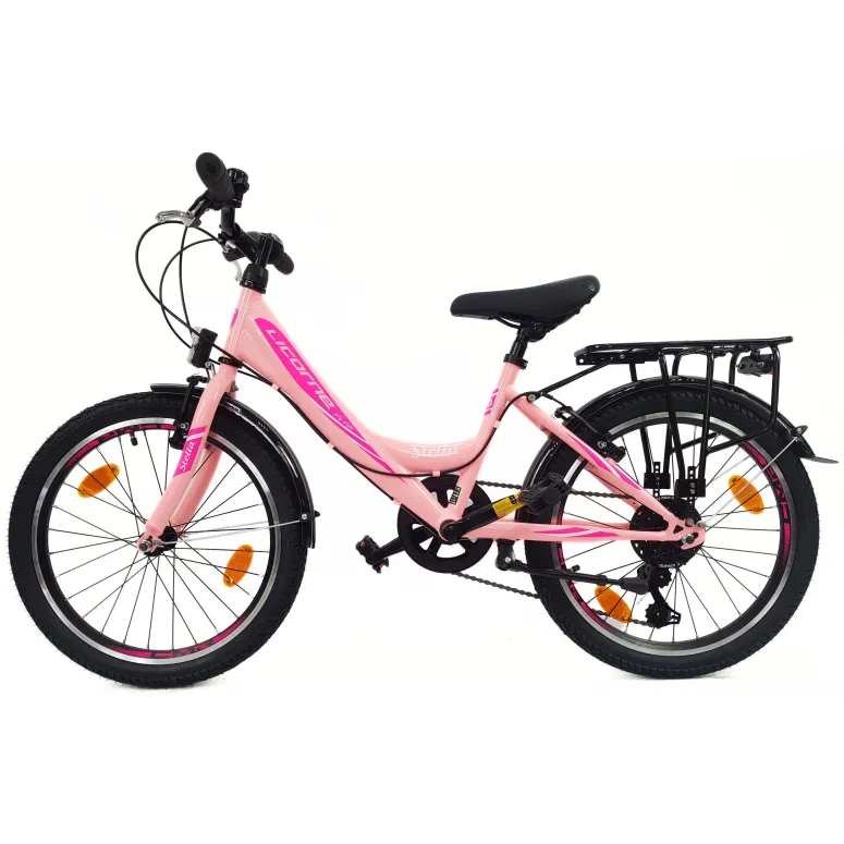 Rower Dziewczęcy 20 Miejski Stalowy Dziecięcy Światła Błotniki Stopka Bagaż