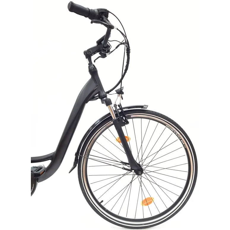 Wayscral Everyway E300 Schwarz 28 Zoll - 5