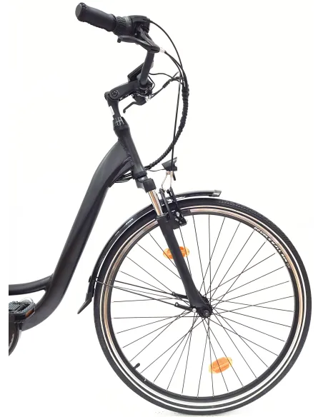 Wayscral Everyway E300 Schwarz 28 Zoll - 5