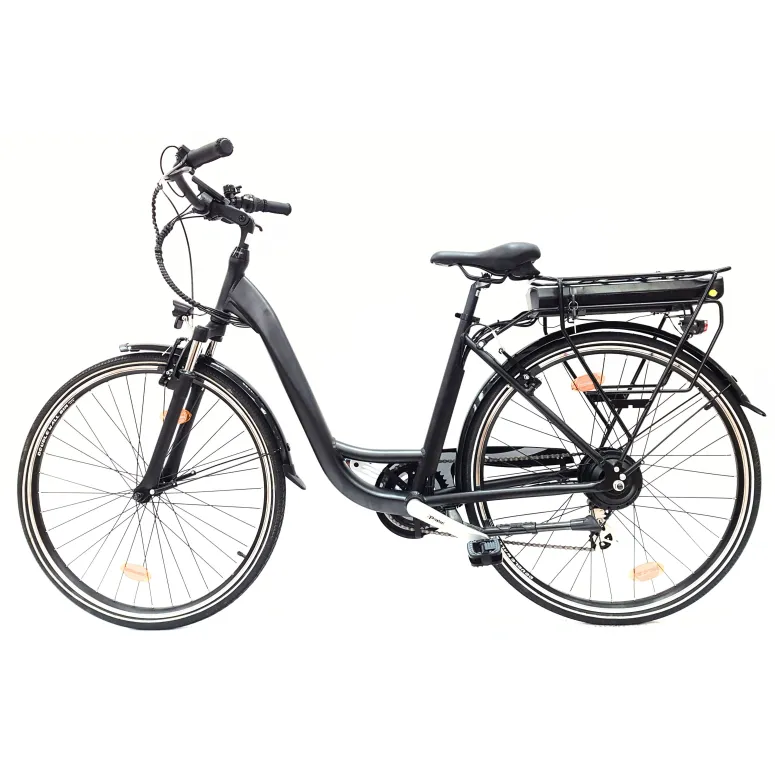 Wayscral Everyway E300 Schwarz 28 Zoll - 8