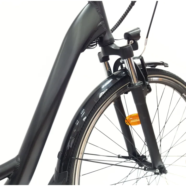 Wayscral Everyway E300 Schwarz 28 Zoll - 11