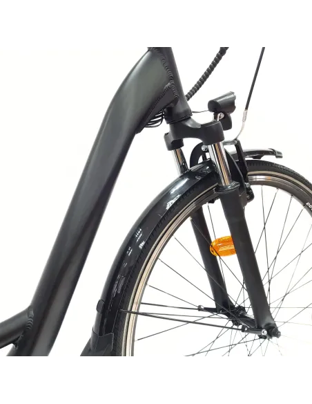 Wayscral Everyway E300 Schwarz 28 Zoll - 11