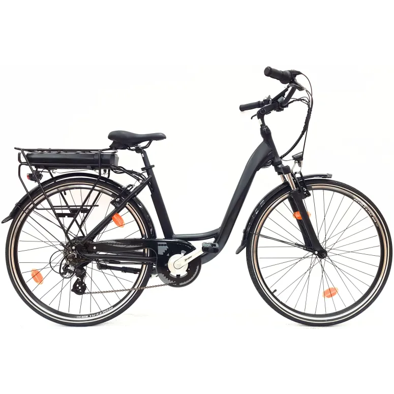 Wayscral Everyway E300 Schwarz 28 Zoll - 12