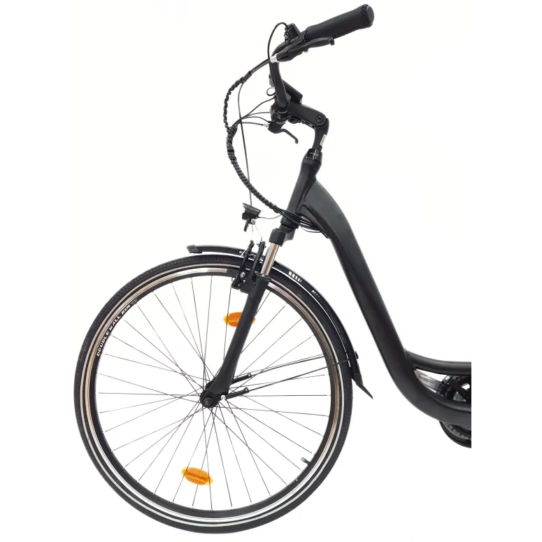 Wayscral Everyway E300 Schwarz 28 Zoll - 13