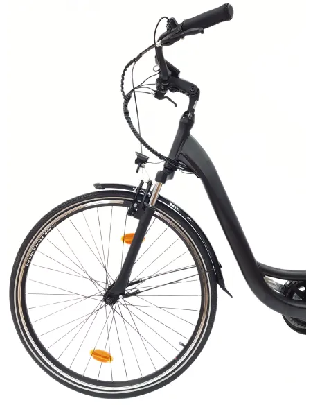 Wayscral Everyway E300 Schwarz 28 Zoll - 13