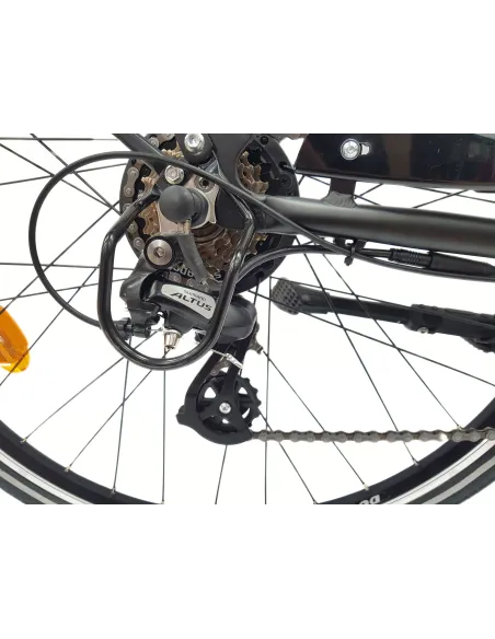 Wayscral Everyway E300 Schwarz 28 Zoll - 15