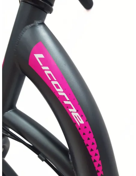 Rower Miejski Dziewczęcy 24 Uniwersalny Revo Oświetlenie Bagażnik Odblaski