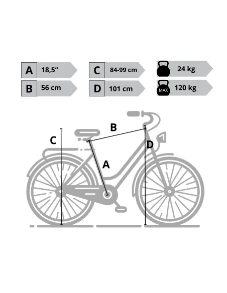 Elektryczny Rower Miejski 26 Alu V-Brake Revo Altus 250W 36V 13Ah Światła