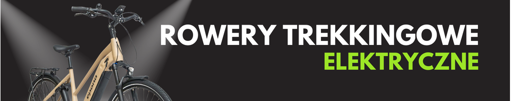 Rowery elektryczne trekkingowe